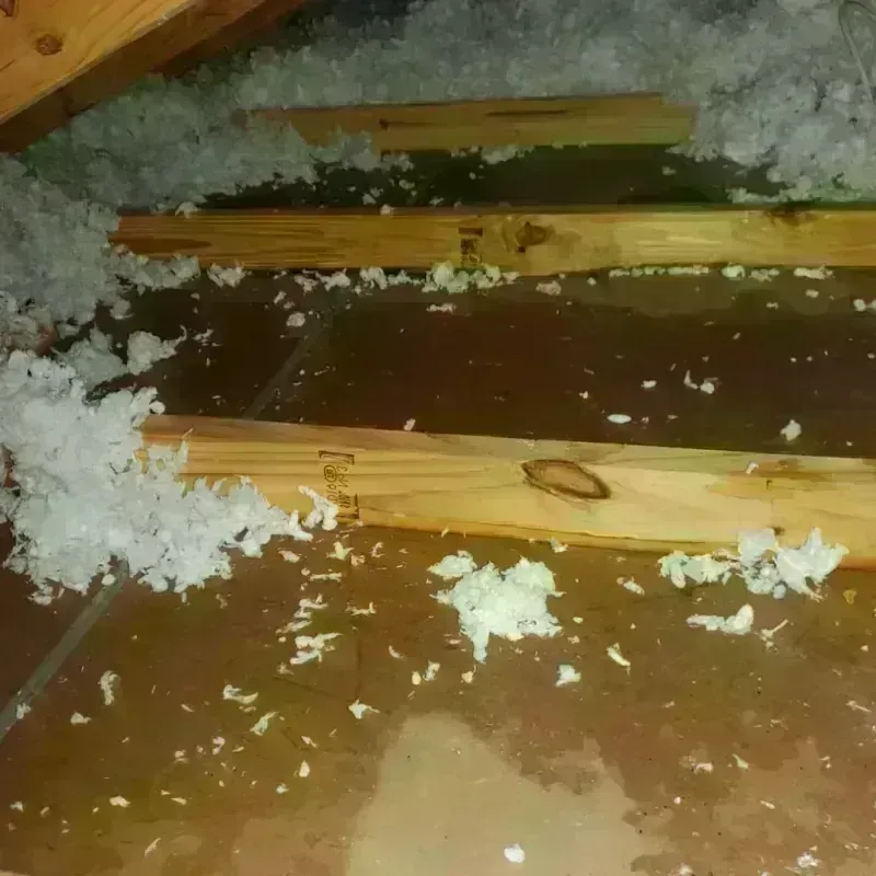 Attic Water Damage in Ferriday, LA